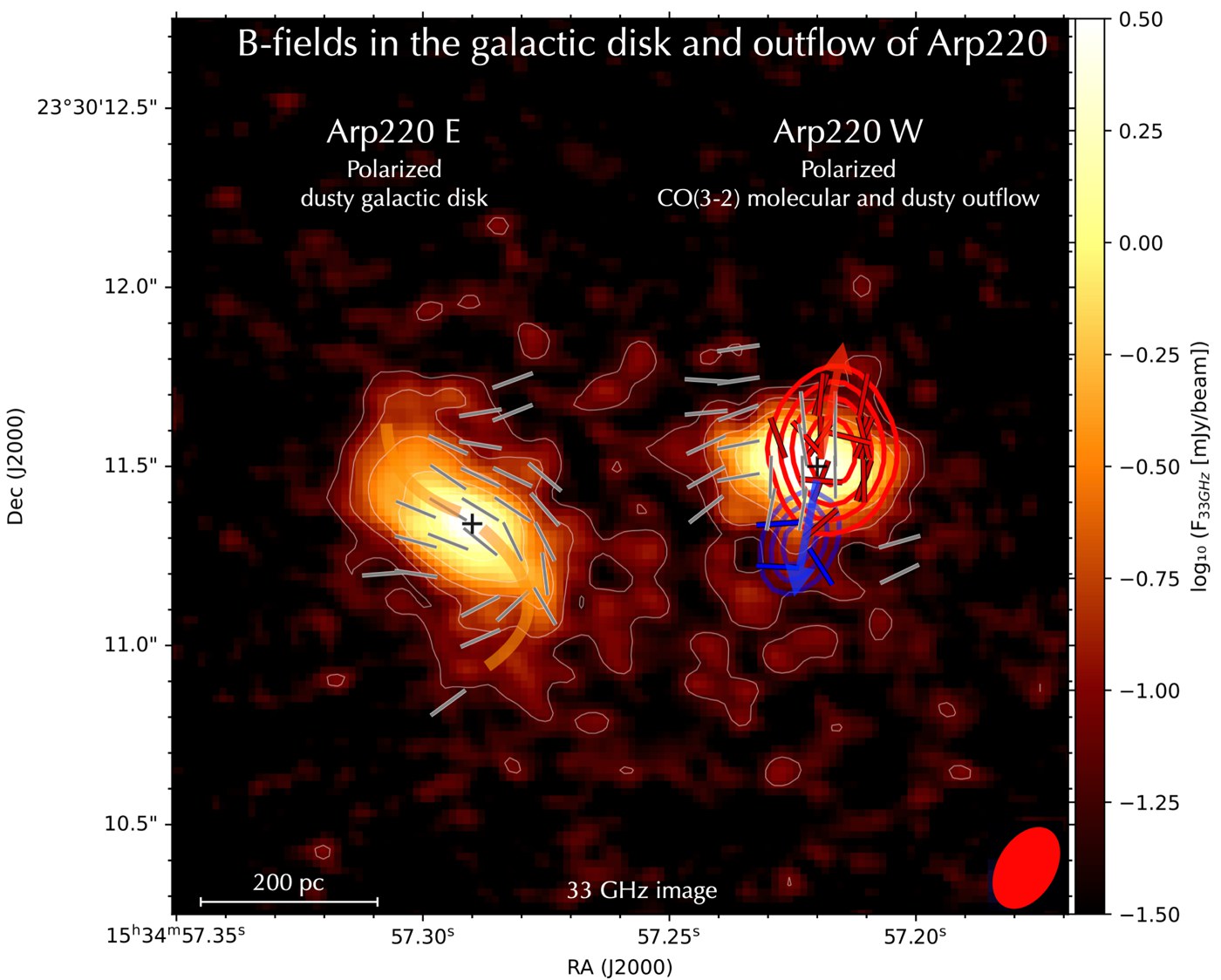 ALMA map of the magnetic fields in the galactic disk and outflow of Arp 220