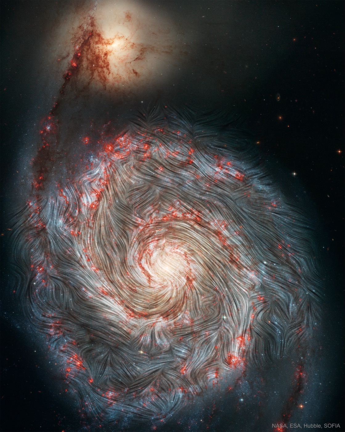 Magnetic field of the Whirlpool galaxy M51